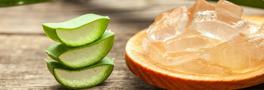 Gel d'aloe vera